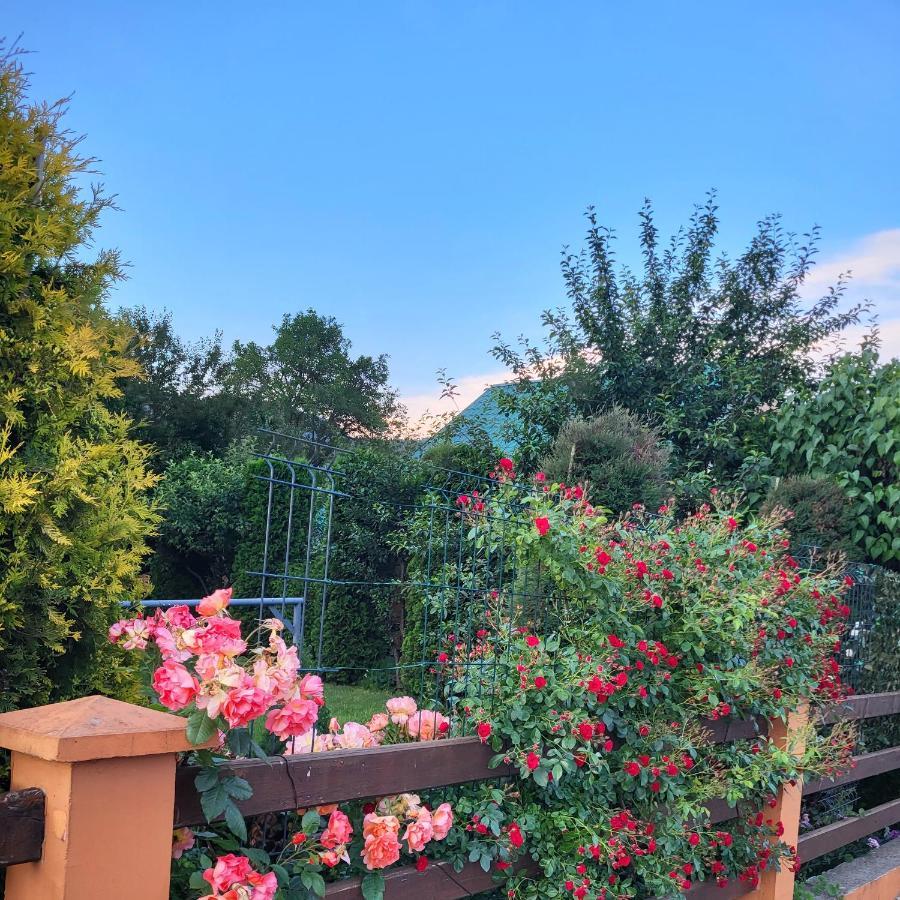 Lodge Breza Lux Kolašin Εξωτερικό φωτογραφία